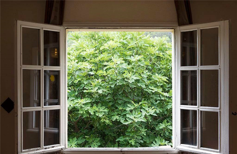 整木定制装修完如何去除甲醛味道?(图1) 整木定制装修完如何去除甲醛味道?(图1)